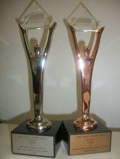 two trophies sitting side by side on top of a white table with one holding an award