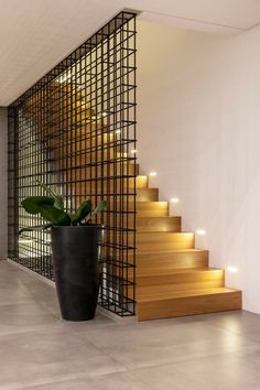 a plant in a black pot next to some stairs and lights on the wall behind it