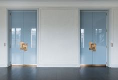 two blue doors in an empty room with wood floors