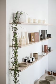 shelves with candles and plants on them in a white walled room, along with other items