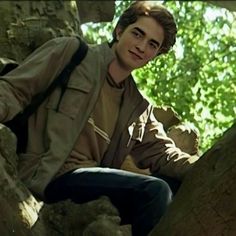 a young man sitting on top of a tree