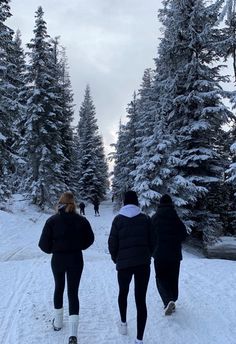 three people are walking in the snow on skis