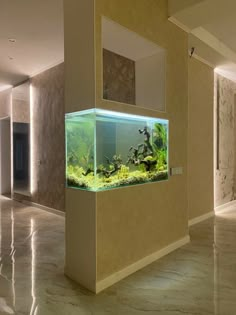 an aquarium in the middle of a hallway