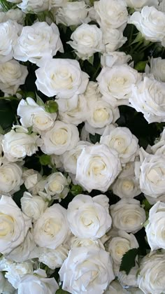 a bunch of white roses that are all over the place and in front of each other