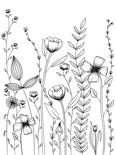 black and white drawing of flowers