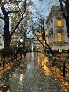 people walking down the street in the rain with umbrellas and trees on either side