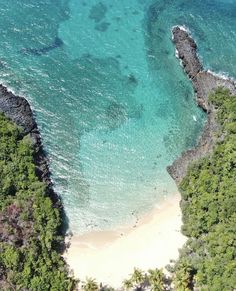 an aerial view of the ocean and beach from above, with trees on both sides