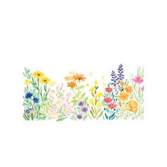 an illustration of flowers and plants on a white background