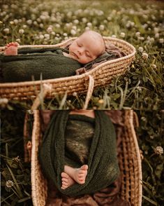 a baby sleeping in a basket on the grass