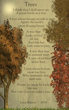 a poem written in the language of trees