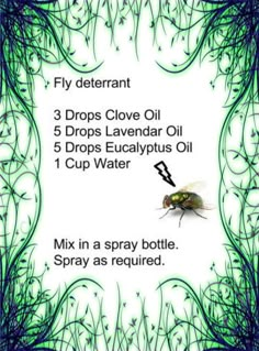 Homemade Fly Spray, Fly Spray, Oil Remedies, Essential Oil Diffuser Blends, Doterra Oils, Oil Diffuser Blends, Oil Uses, Aromatherapy Oils