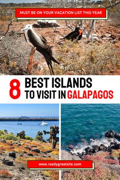 the 8 best islands to visit in galaagos with text overlay that reads, must be on your vacation list this year