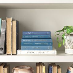 several books on a white shelf next to a potted plant and two vases