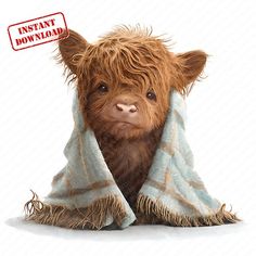 a brown cow wrapped in a blanket with a red stamp on it's head