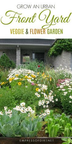 an urban front yard garden with flowers and plants in the foreground, text overlay reads grow an urban front yard veggie & flower garden