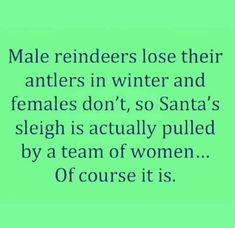 Snarky Christmas Quotes, Female Reindeer, Christmas Jokes, Design Fails, Sarcastic Quotes Funny, Holiday Humor, Work Quotes