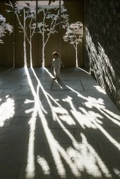 shadows cast on the floor and walls of a building