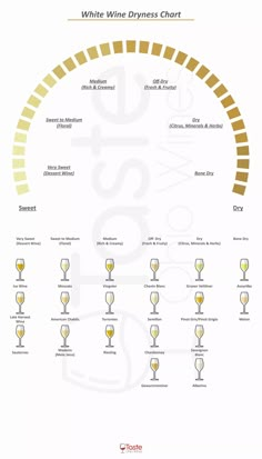 a wine glass chart with different types of glasses