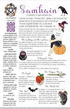 an image of the witch's pumpkins and other things in this halloween poster