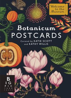 the front cover of an illustrated book with flowers and leaves on it, including pumpkins