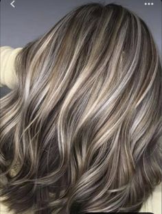 Light Brown With Gray Highlights, Ash Brown Grey Highlights, Grey Babylights In Brown Hair, Transitioning Brown Hair To Gray, Gray Highlights On Light Brown Hair, Low Lights With Grey Hair, Champagne Brown Grey Hair, Medium Brown Hair With Gray Highlights, Transitioning Grey Hair