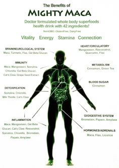 Maca Benefits, Maca Root, Herbs For Health, Health Drink, Something Went Wrong, Detox Drinks, Health Supplements, Health Remedies