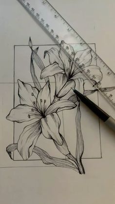 a pencil drawing of a flower with a ruler next to it