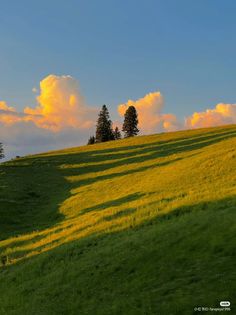 a grassy hill with trees and clouds in the background