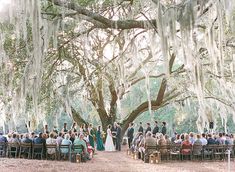 an outdoor wedding under a large tree with moss hanging from it's branches and people sitting at the alter