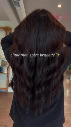 Cinnamon Spice Brunette, Black Cherry Hair Color Dark, Warm Black Hair, Burnette Hair, Dark Burgundy Hair Color, Cinnamon Brown Hair, Burgundy Brown Hair, Warm Brown Hair Color, Rich Chocolate Brown Hair