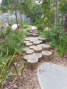 a set of steps made out of tree stumps