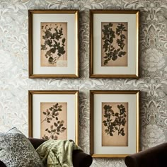 three framed pictures hang on the wall above two couches in front of a patterned wallpaper