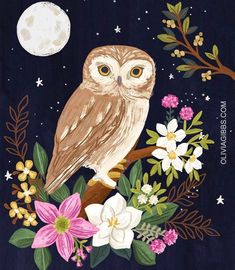 an owl is sitting on a branch with flowers and moon in the sky behind it