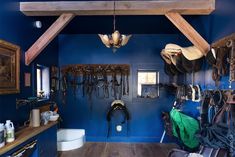 a room with blue walls and lots of saddles hanging from the ceiling in it