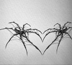 black and white photograph of two spider webs in the shape of heart shaped hands