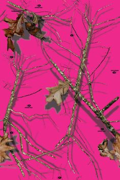 leaves and branches against a pink background with black dots on the bottom right corner, in an image that appears to have been altered