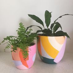 two potted plants sitting next to each other on top of a white countertop