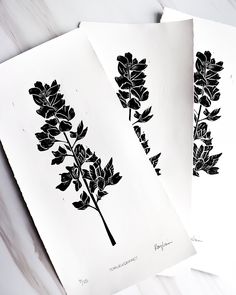 three black and white drawings of flowers on paper