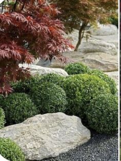 a garden with rocks and trees in the background, including red leaves on top of them