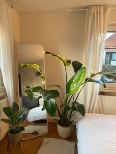 there is a mirror and some plants on the floor in front of a bed with white sheets