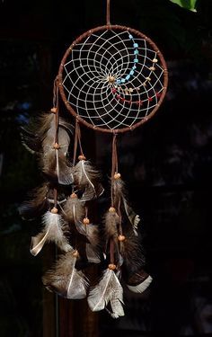 a dream catcher with feathers hanging from it's side