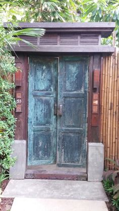 an old green door is in the middle of a small area with bamboo trees and shrubbery