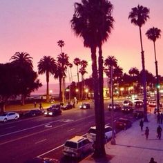 palm trees line the street as people walk by at dusk in an area with tall buildings and parked cars