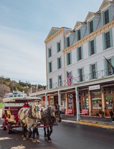 two horses pulling a carriage down the street