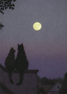 two cats sitting on top of a roof looking at the moon