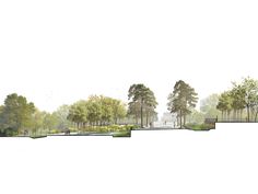 an artist's rendering of a park with trees and benches