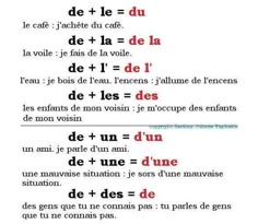 some type of text that is written in french