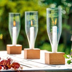 three candles are placed in glass vases on a wooden stand with greenery behind them