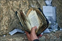 an open book being held in front of a rock