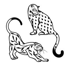 two cheetah are depicted in black and white